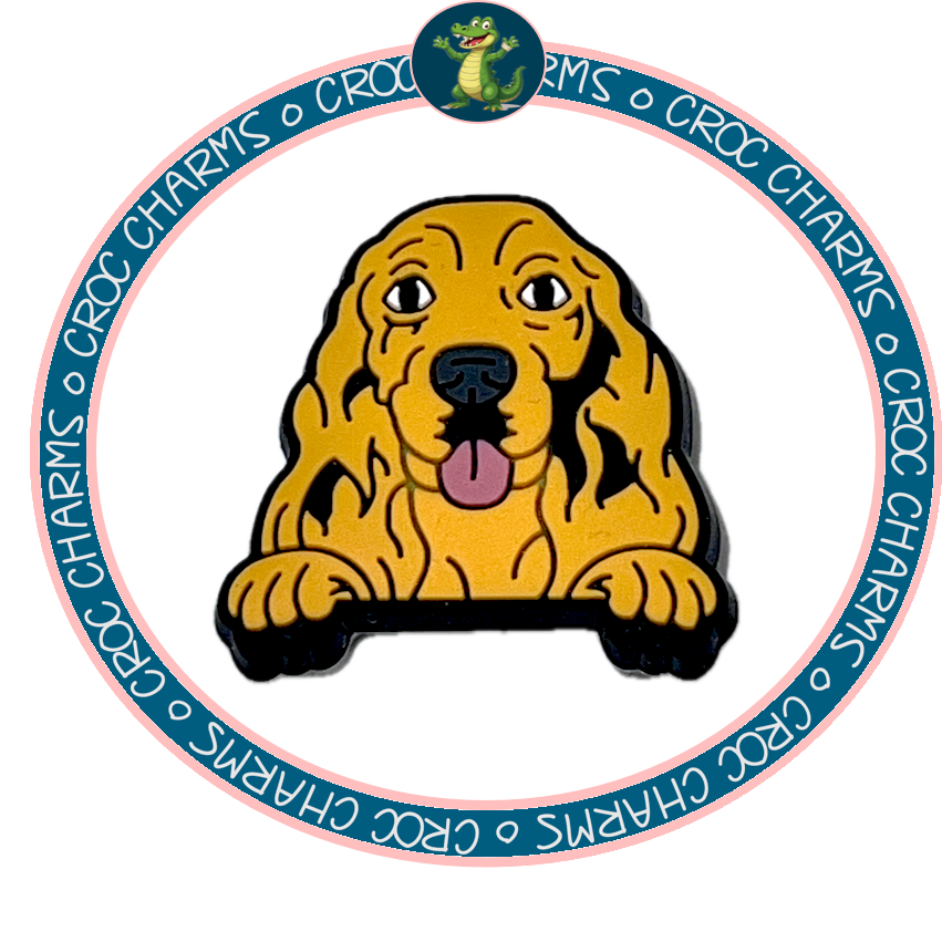 Cocker Spaniel