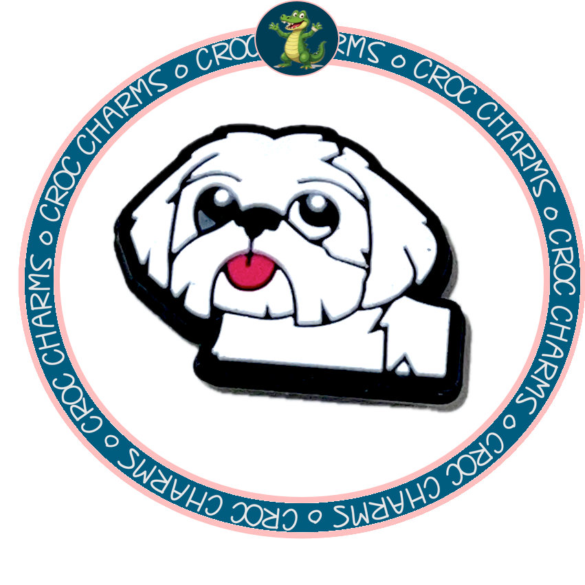 Bichon Frise