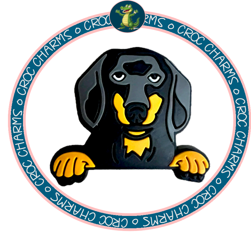 Dachshund