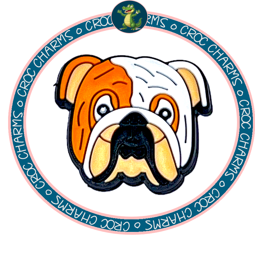 English Bulldog