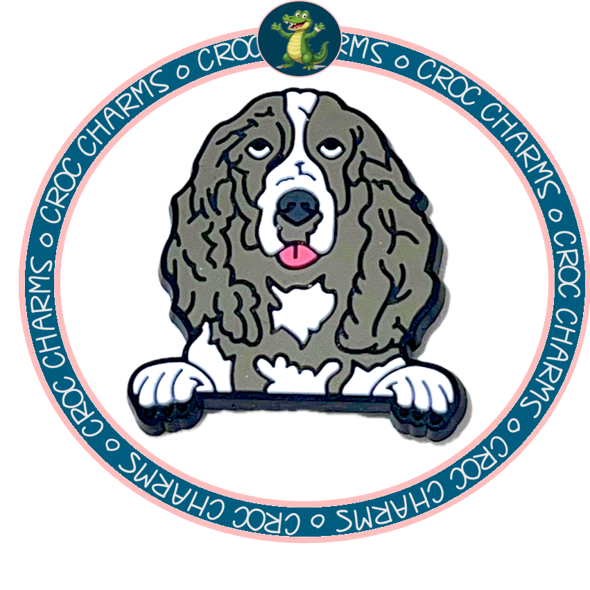 English Springerspaniel