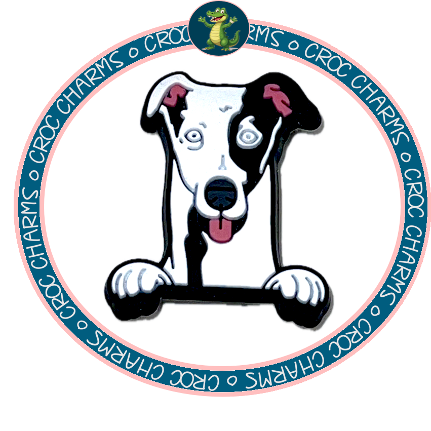 Greyhound