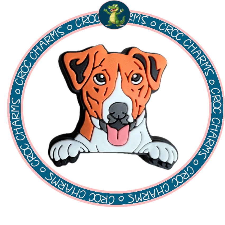 Jack Russell