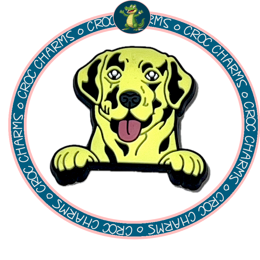 Labrador