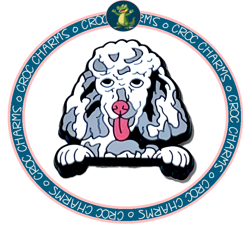 Poodle