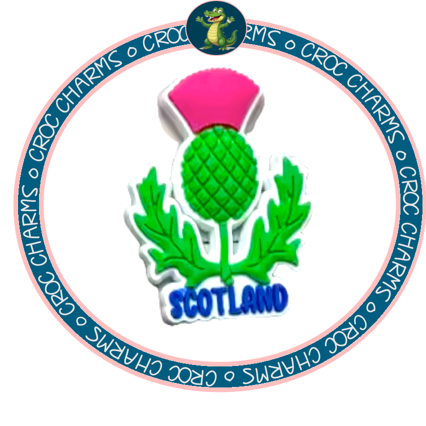 Scottish Thistle