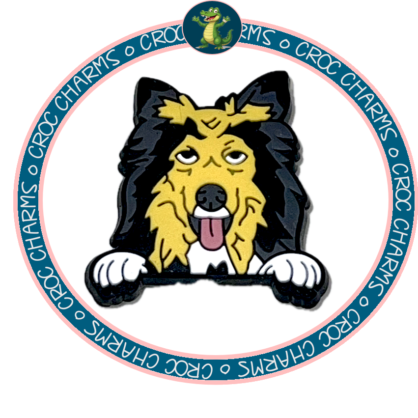 Shetland Sheepdog