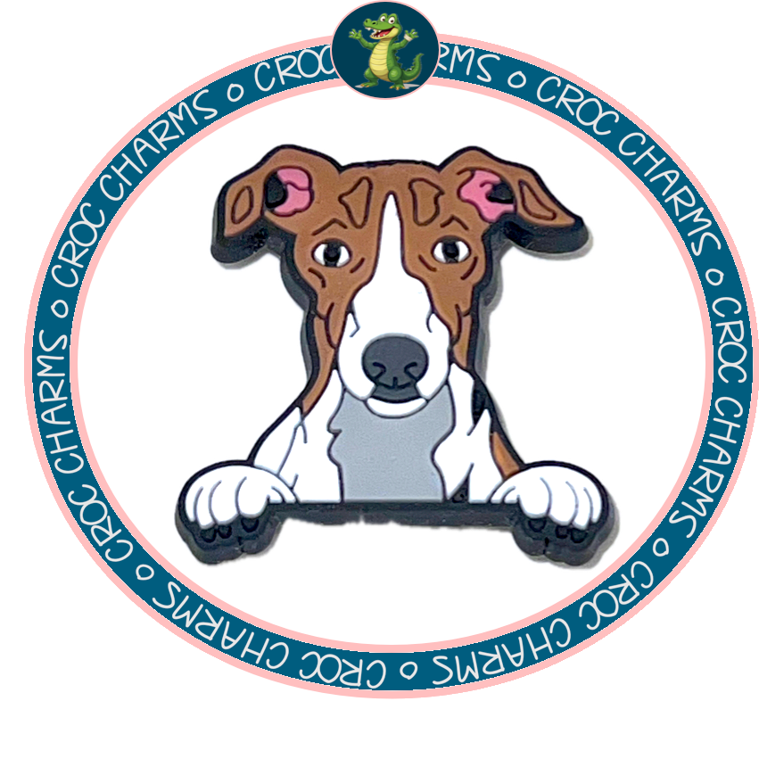 Whippet