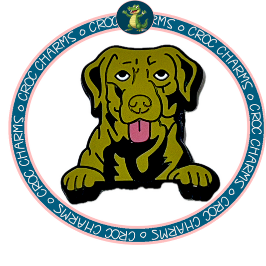 Chesapeake Bay Retriever