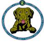 Chesapeake Bay Retriever