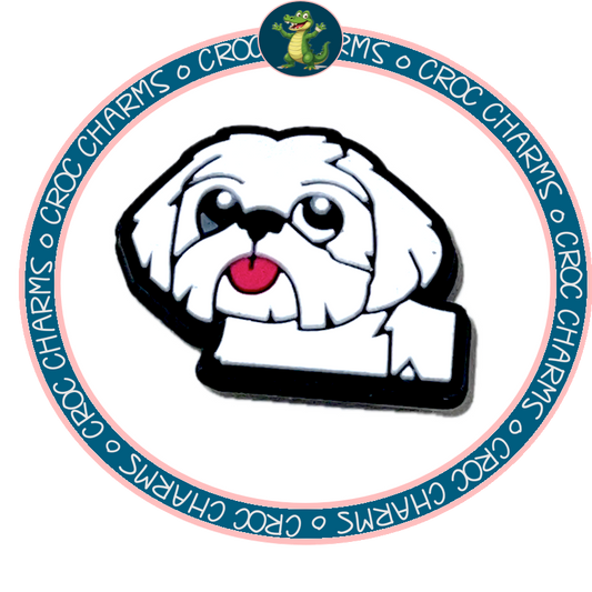Bichon Frise