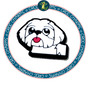 Bichon Frise