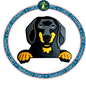 Dachshund