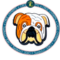 English Bulldog