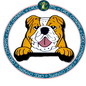 English Bulldog