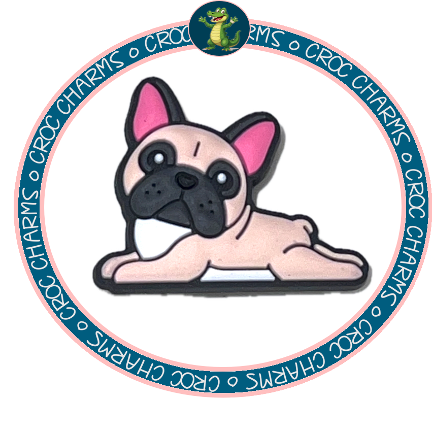 French Bulldog Lying Down