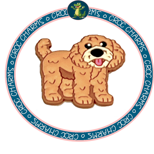 Goldendoodle