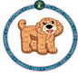 Goldendoodle