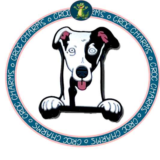 Greyhound
