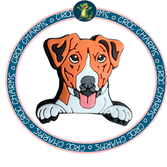 Jack Russell