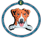 Jack Russell