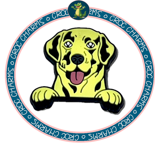 Labrador