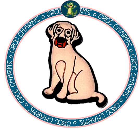 Labrador