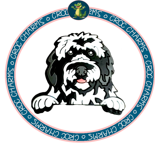 Old English Sheepdog
