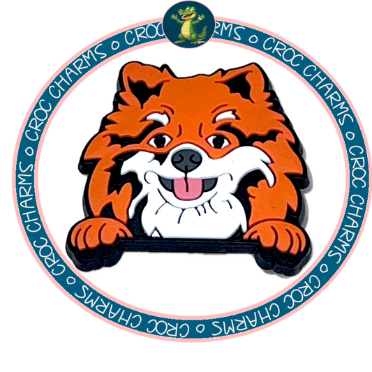 Pomeranian