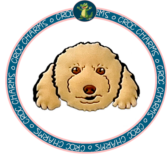 Poodle
