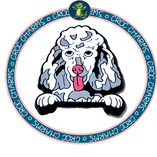 Poodle