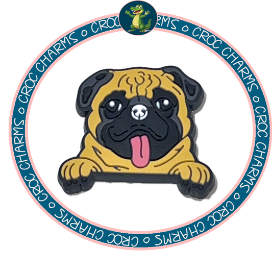 Pug