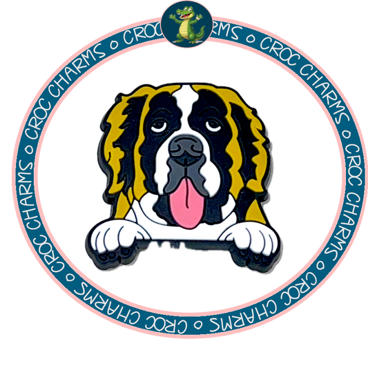 Saint Bernard