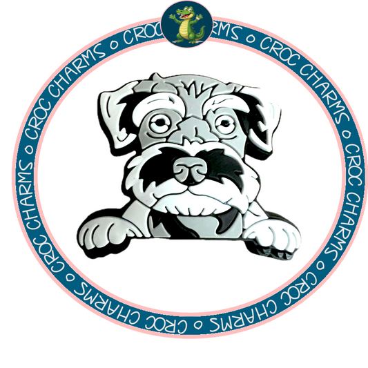 Schnauzer