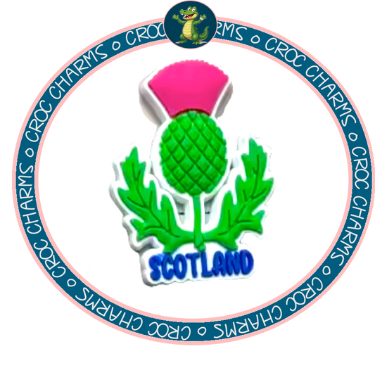 Scottish Thistle
