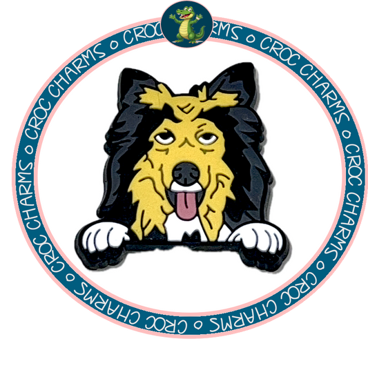 Shetland Sheepdog
