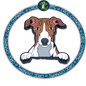 Whippet