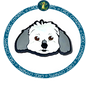 White Dog