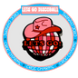 Country and Western shoe charms featuring a pink cowboy hat on a disco ball with lets go text